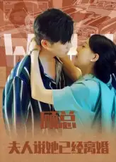 顾总,夫人说她已经离婚(30集)高清海报图片 顾总,夫人说她已经离婚(30集)海报