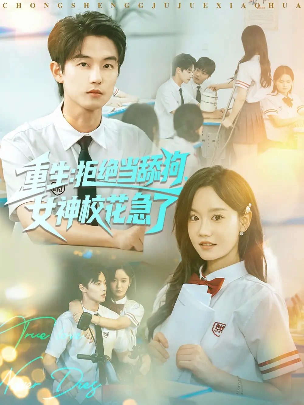 短剧《重生拒绝当舔狗女神校花急了》全集完整版高清免费在线观看