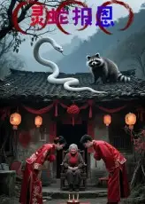 灵蛇报恩（30集）小黑海报