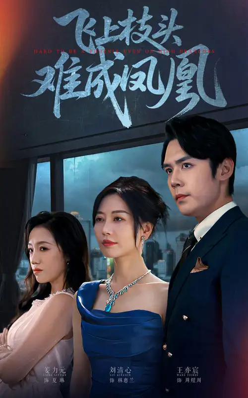 短剧《飞上枝头难成凤凰》全集完整版高清免费在线观看