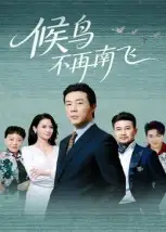 短剧《候鸟不再南飞》全集完整版高清免费在线观看