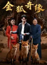 短剧《金狐奇缘》全集完整版高清免费在线观看
