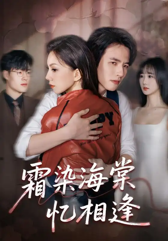 短剧《霜染海棠忆相逢》全集完整版高清免费在线观看