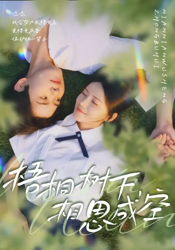 短剧《梧桐树下，相思成空》全集完整版高清免费在线观看