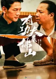 短剧《有功夫来佛山》全集完整版高清免费在线观看