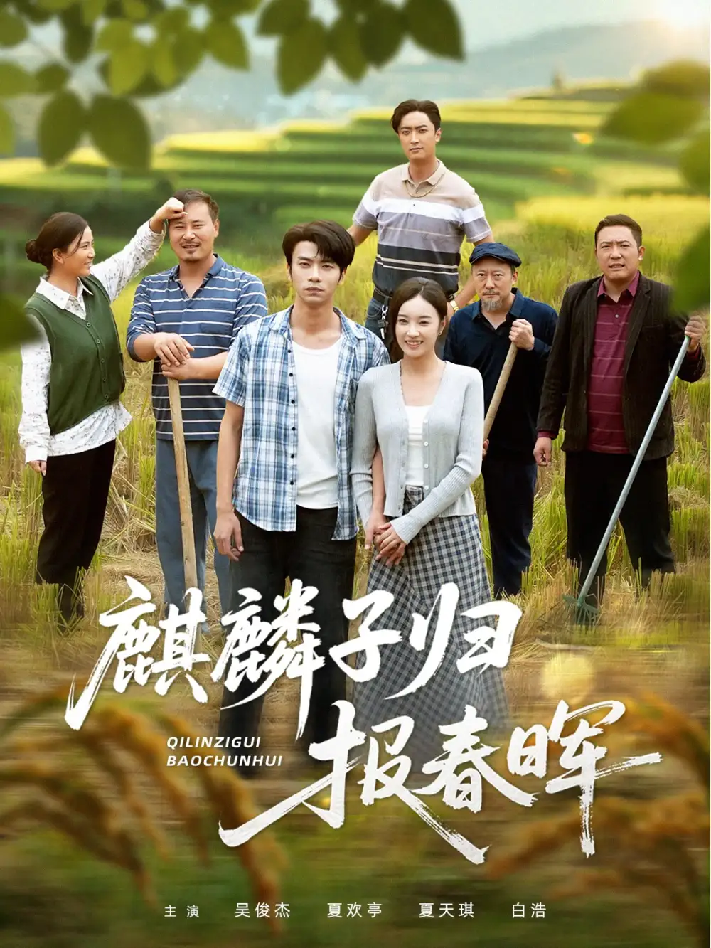 短剧《麒麟子归报春晖》全集完整版高清免费在线观看