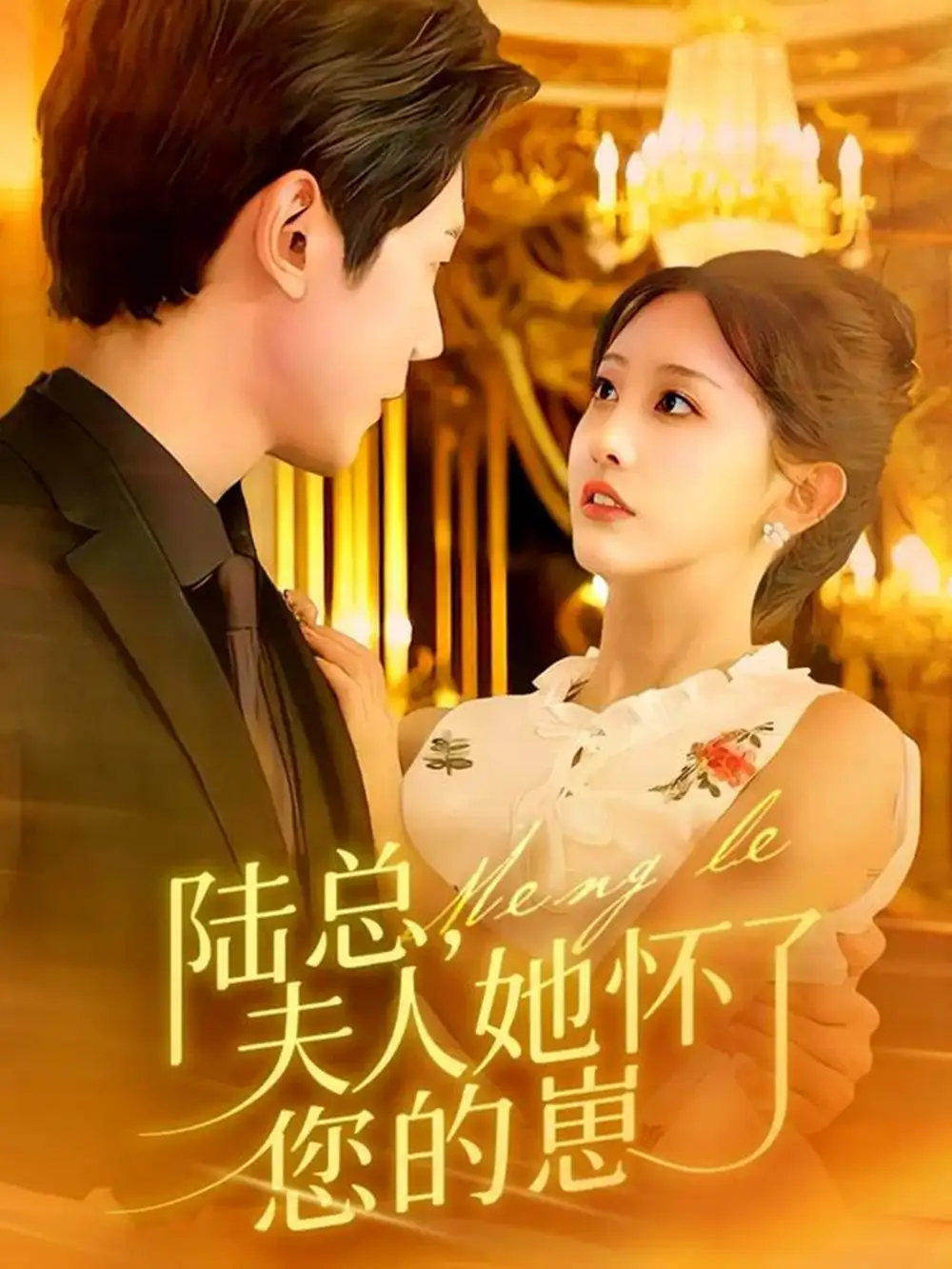 短剧《陆总，夫人她怀了您的崽》全集完整版高清免费在线观看