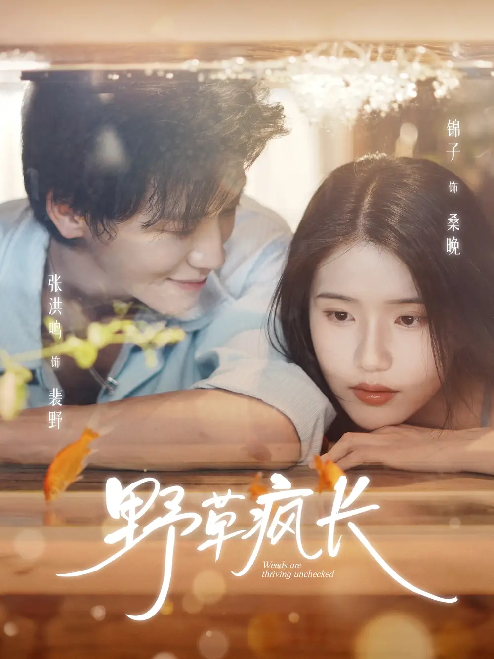 短剧《野草疯长》全集完整版高清免费在线观看