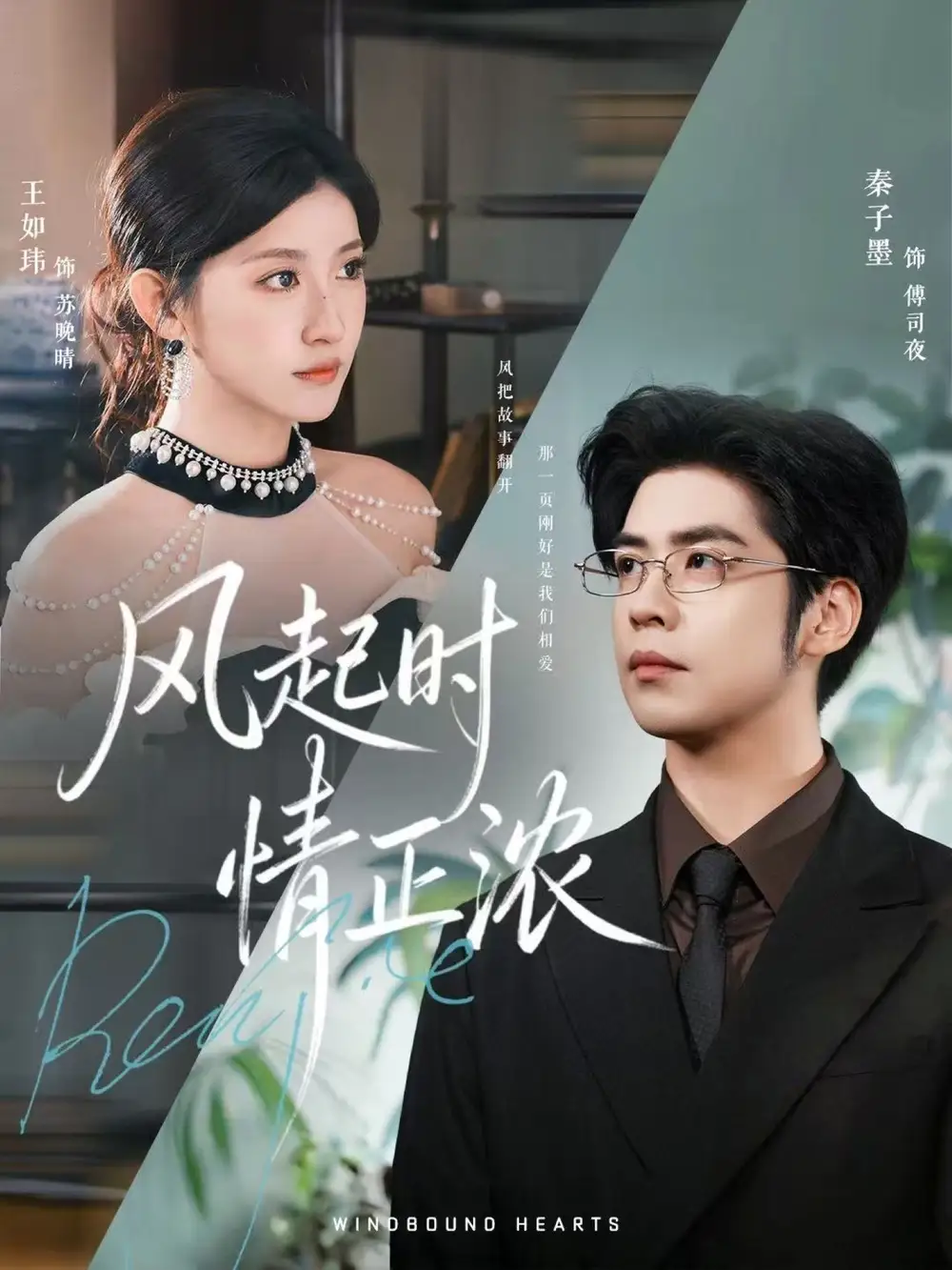 短剧《风起时情正浓》全集完整版高清免费在线观看