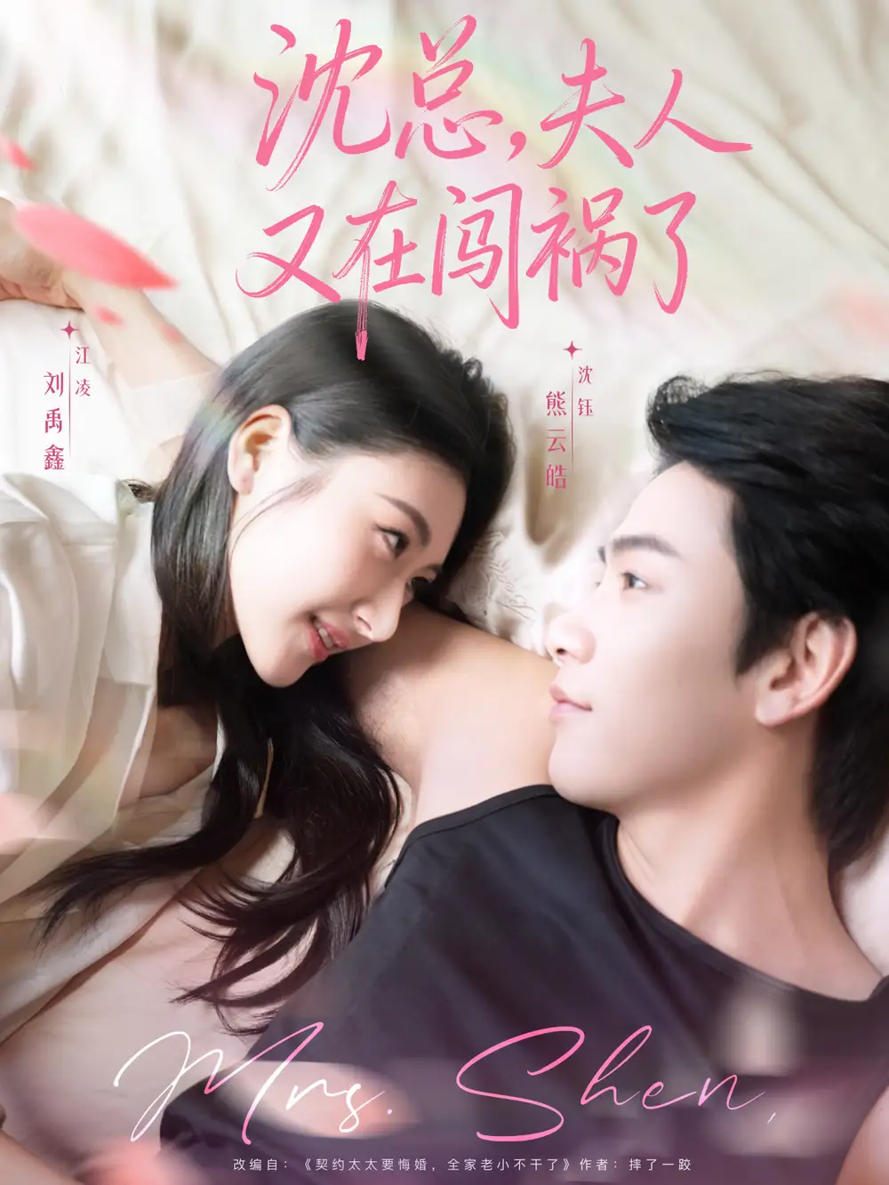 短剧《沈总，夫人又在闯祸了》全集完整版高清免费在线观看