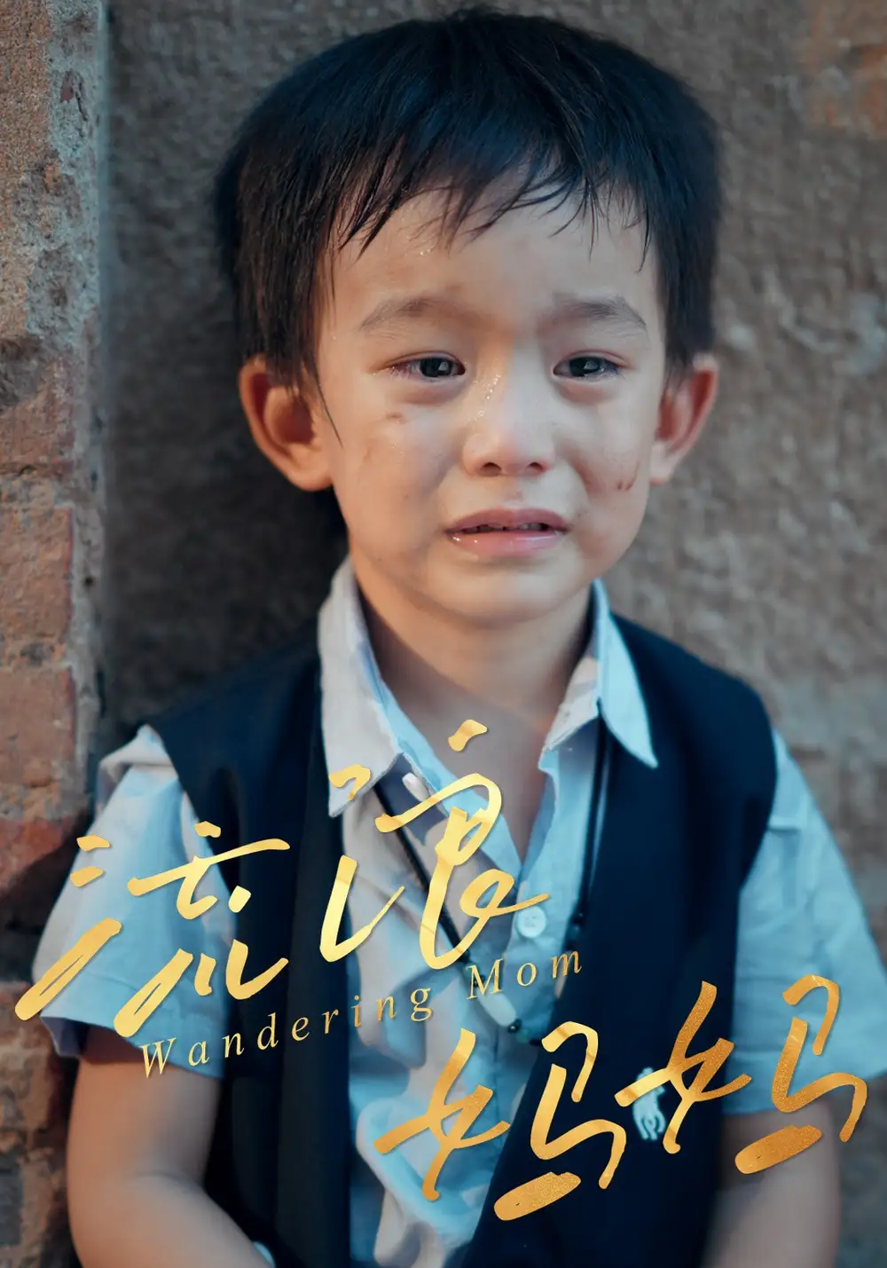 短剧《流浪妈妈》全集完整版高清免费在线观看