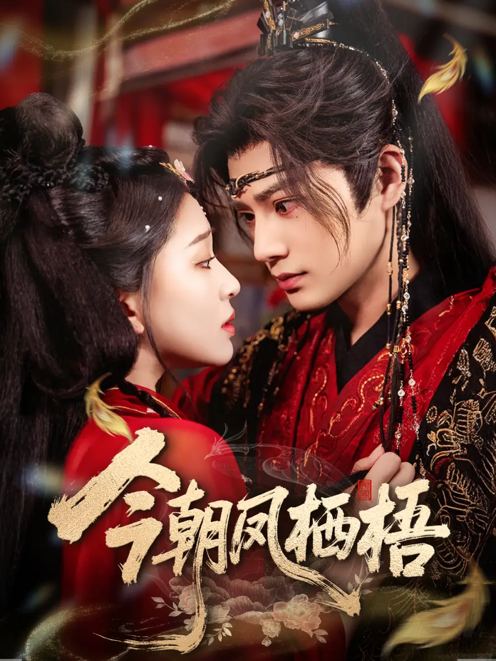 短剧《今朝凤栖梧》全集完整版高清免费在线观看