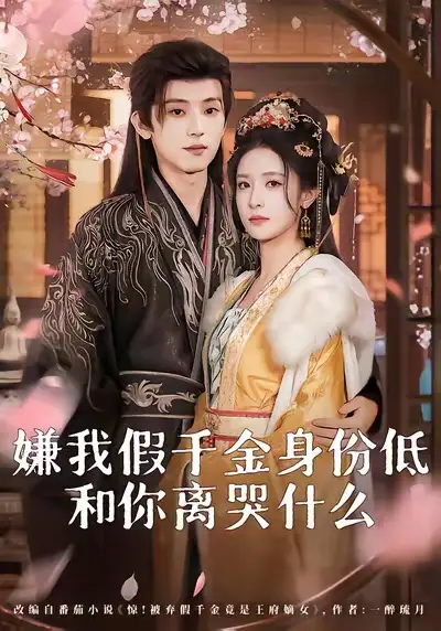 嫌我假千金身份低，和你离哭什么（120集）宋益凡＆王思瑾海报