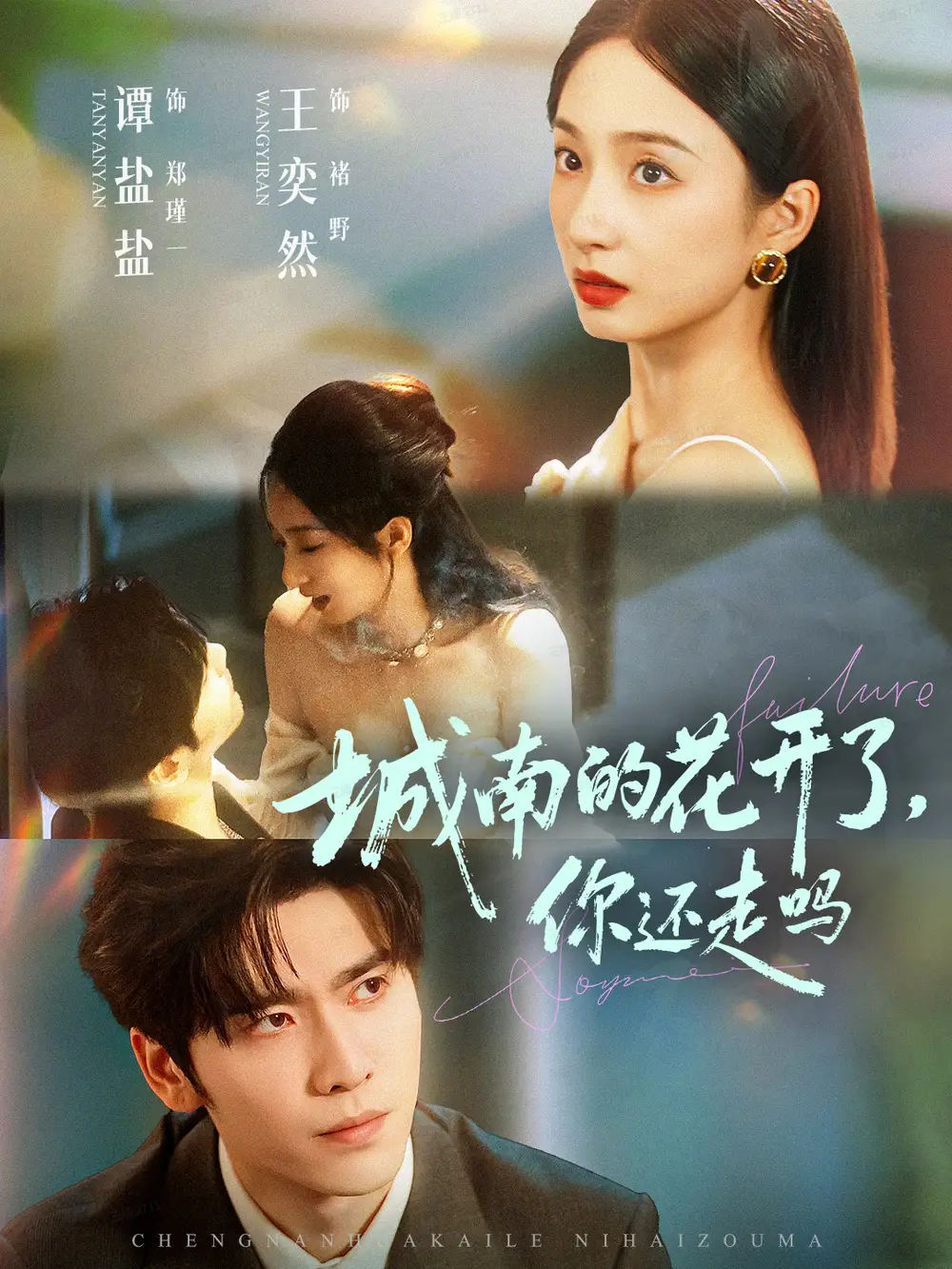 短剧《城南的花开了，你还走吗》全集完整版高清免费在线观看