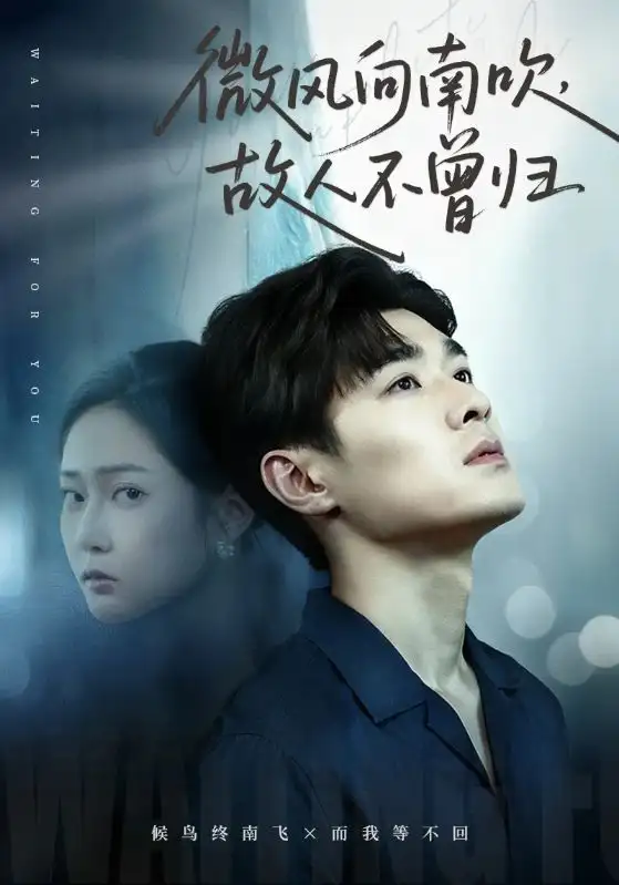 短剧《微风向南吹，故人不曾归》全集完整版高清免费在线观看