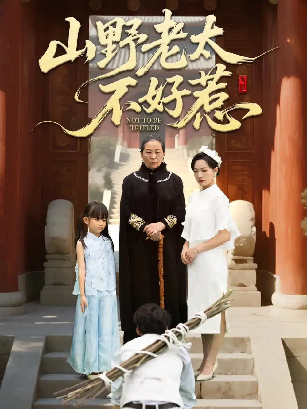 短剧《山野老太不好惹＆奶奶一脚震全城》全集完整版高清免费在线观看