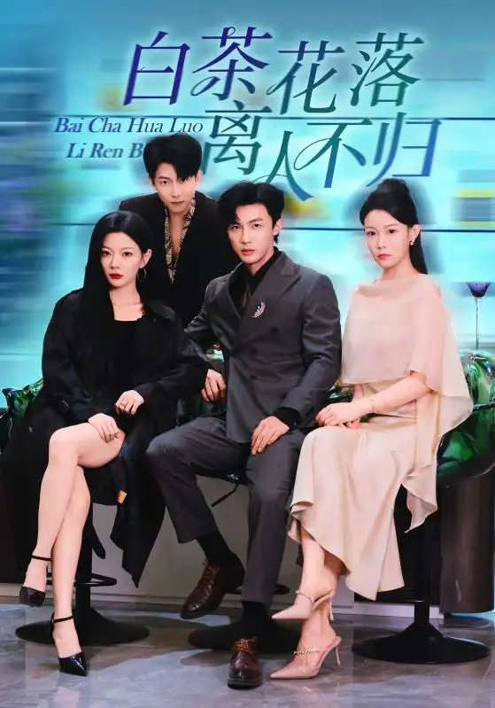 短剧《白茶花落离人》全集完整版高清免费在线观看