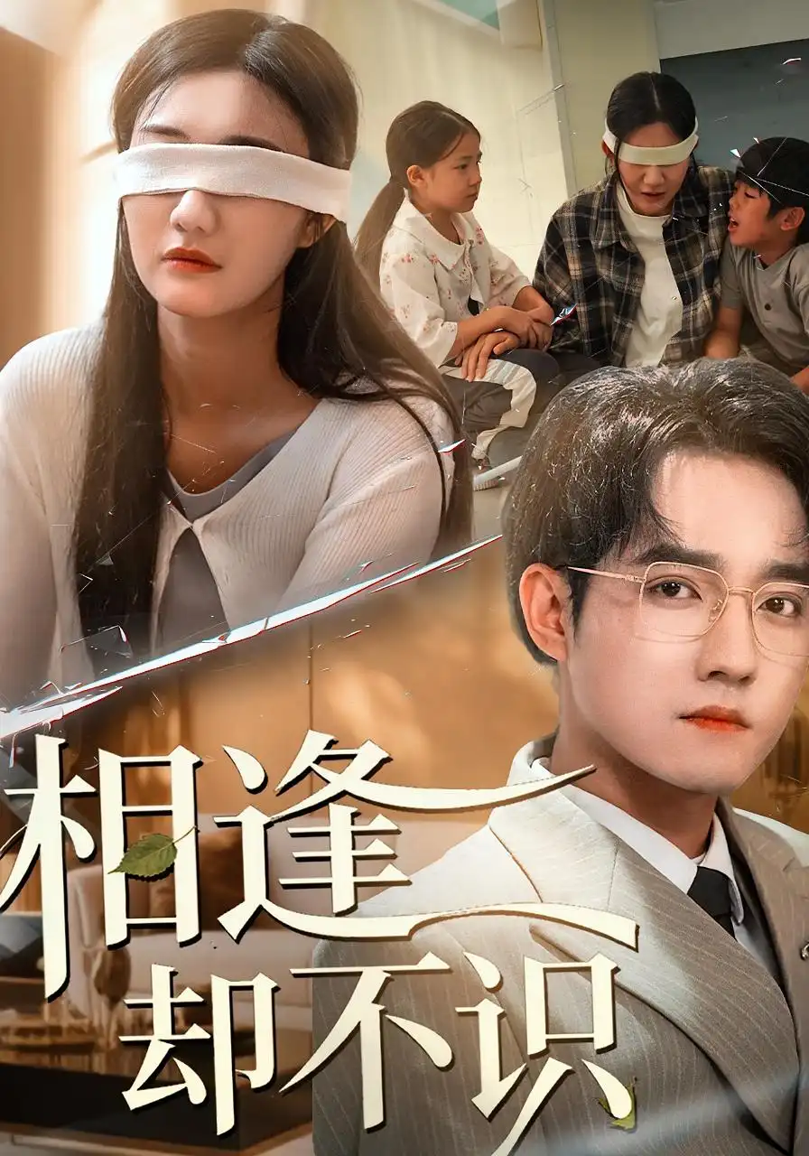 短剧《相逢却不识》全集完整版高清免费在线观看