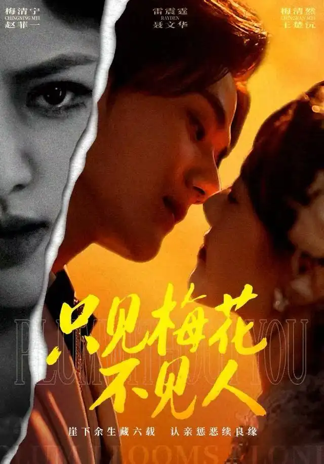 短剧《只见梅花不见人》全集完整版高清免费在线观看