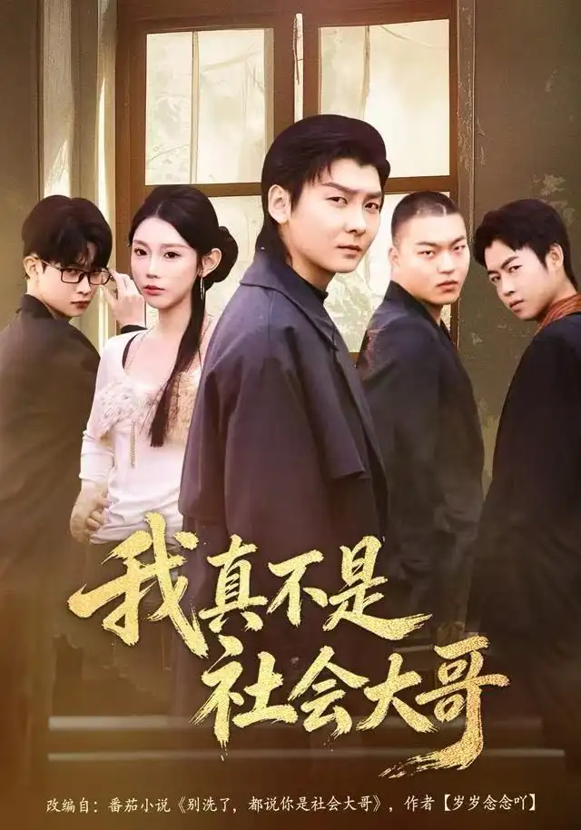 短剧《我真不是社会大哥》全集完整版高清免费在线观看