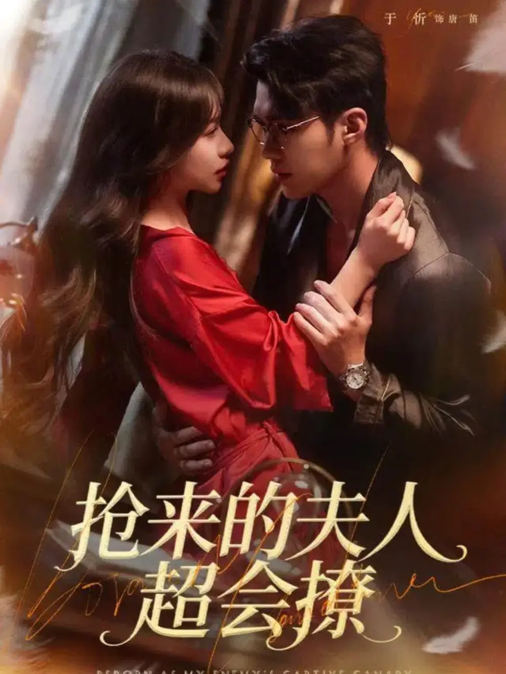 短剧《抢来的夫人超会撩》全集完整版高清免费在线观看