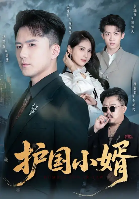 短剧《护国小婿》全集完整版高清免费在线观看