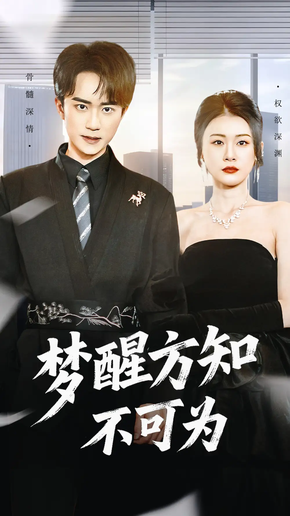 短剧《梦醒方知不可为》全集完整版高清免费在线观看