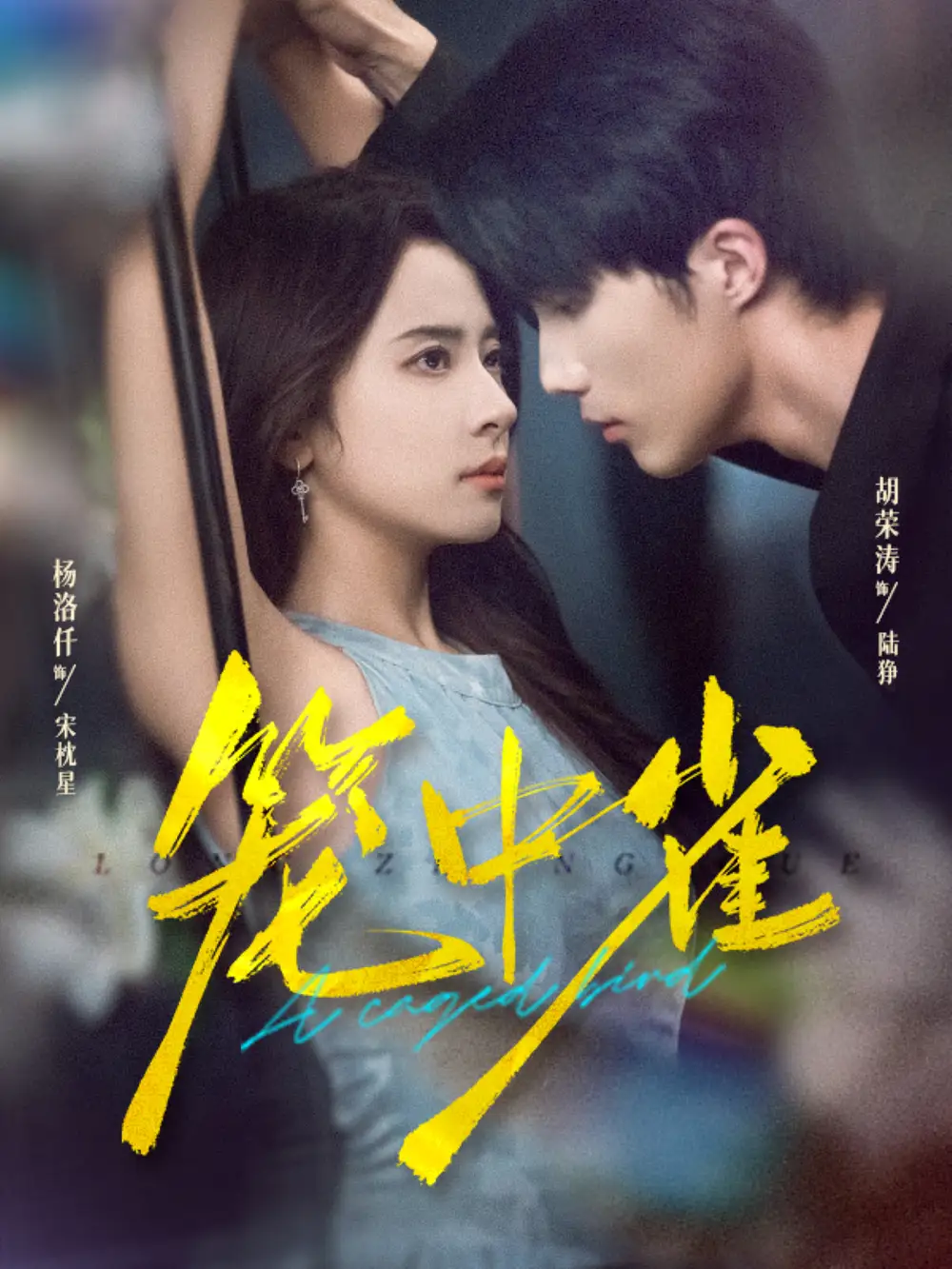 短剧《笼中雀》全集完整版高清免费在线观看